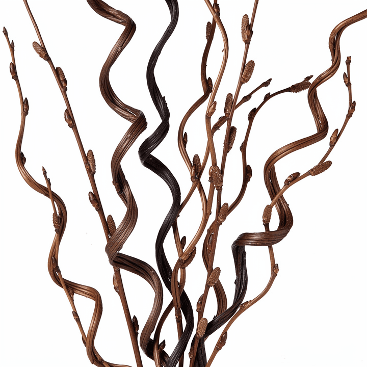 Curly Willow