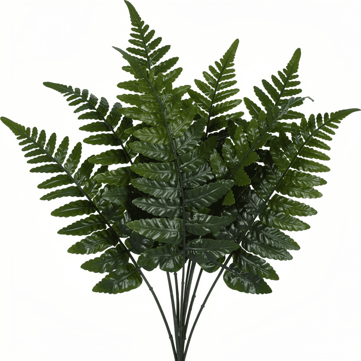 Leather Fern